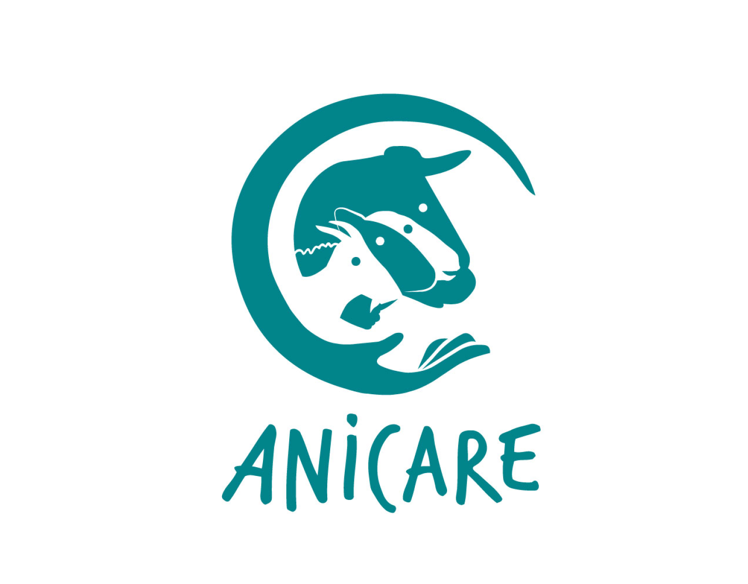 Proyecto ANICARE